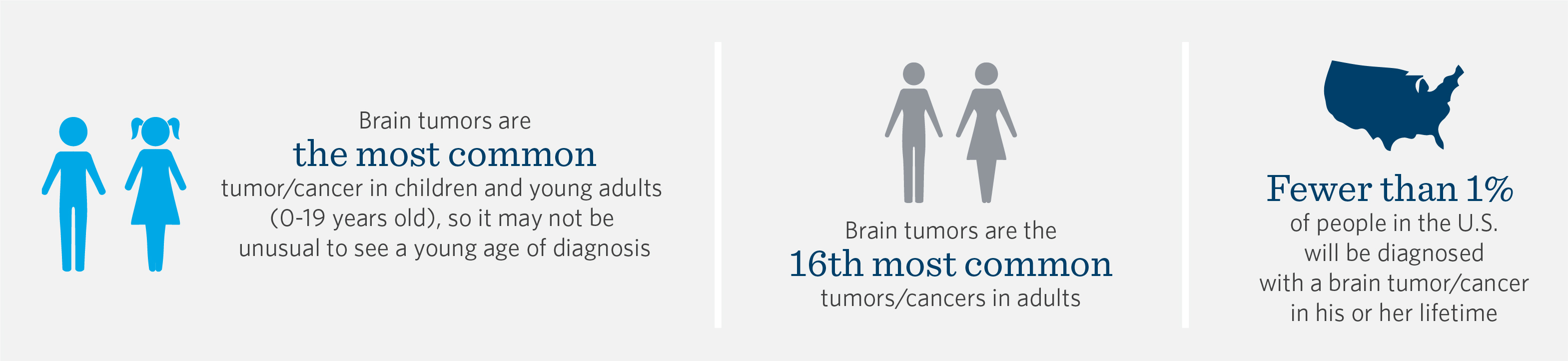 Brain Stats