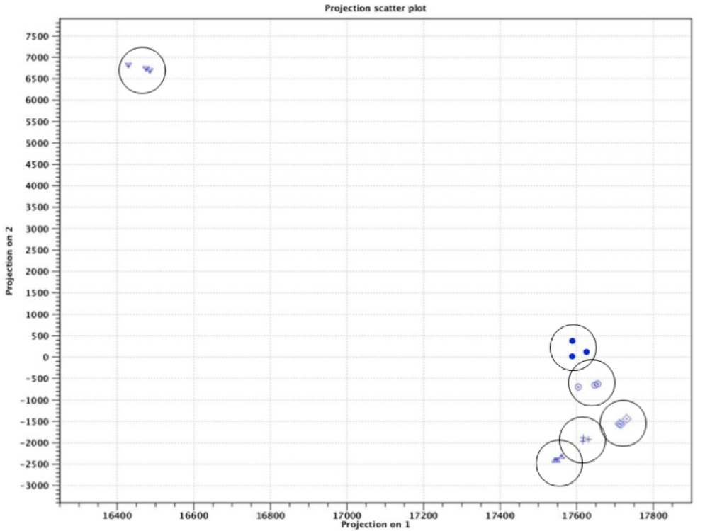 Projection scatter plot: Principal component analysis clusters triplicate samples into 6 groups