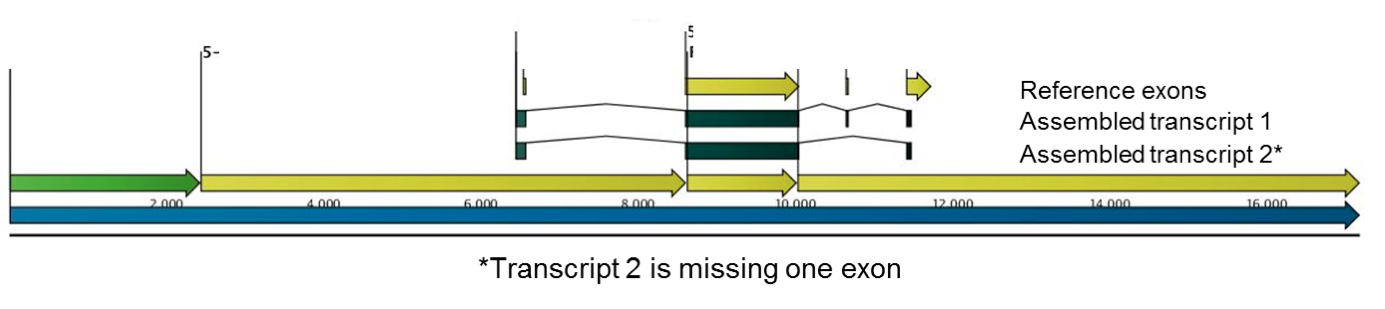 Targeted RNA-seq identifies a novel splice variant