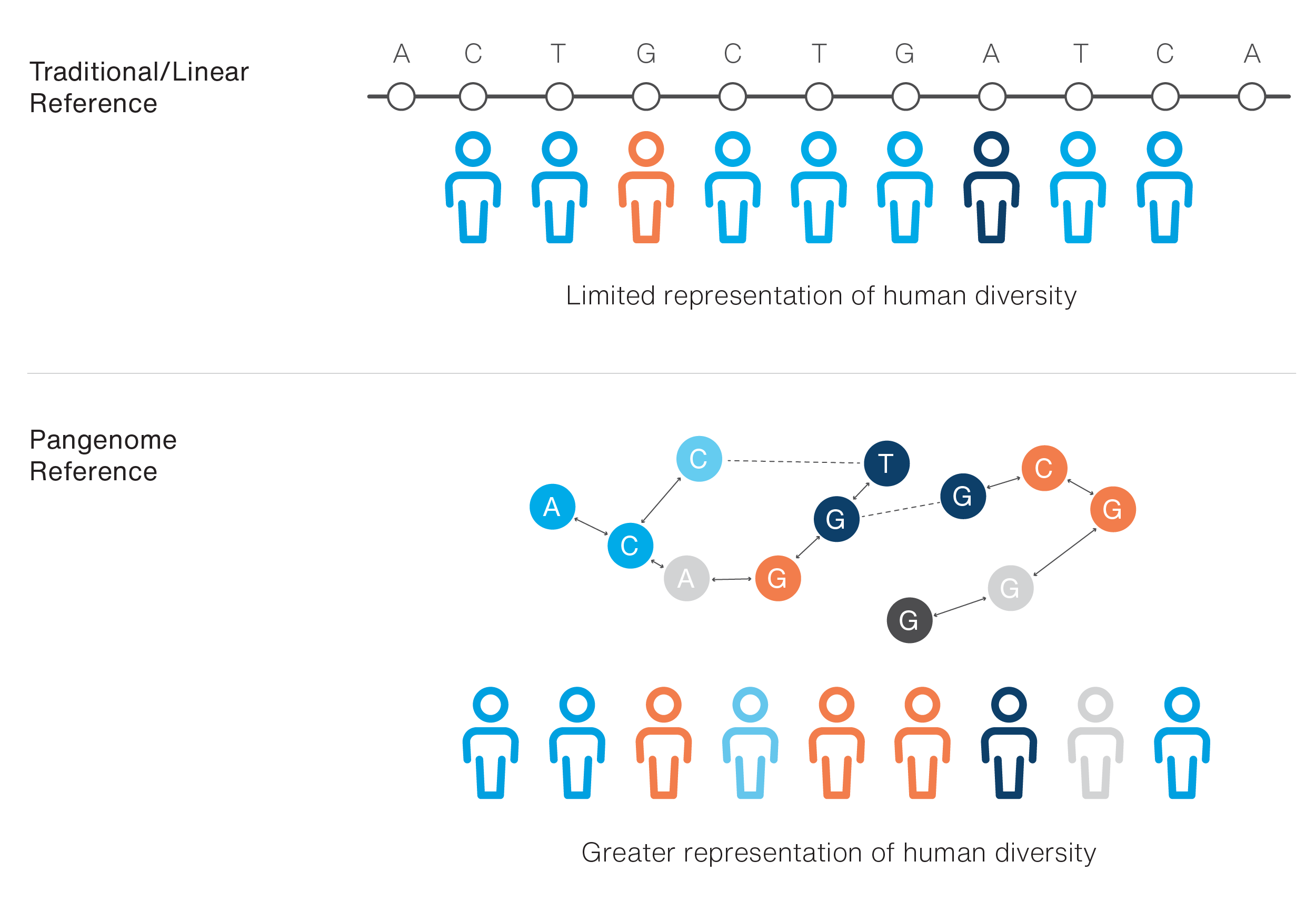Panenome Reference Graphic